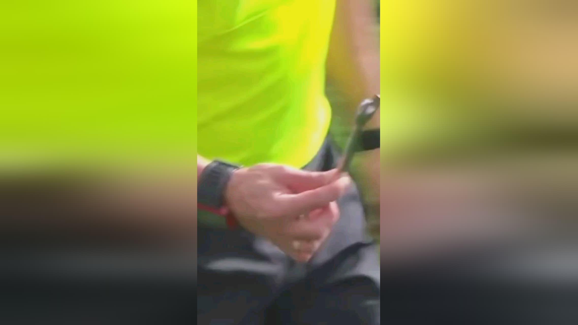 门特